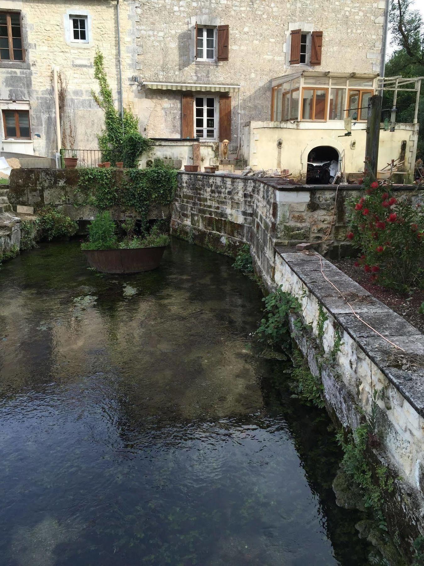 Bourg-Charente Petit Moulin De Veillard 빌라 외부 사진